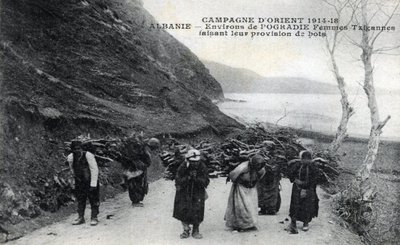 Albania: Mujeres gitanas con haces de madera en sus espaldas de William M. Timlin