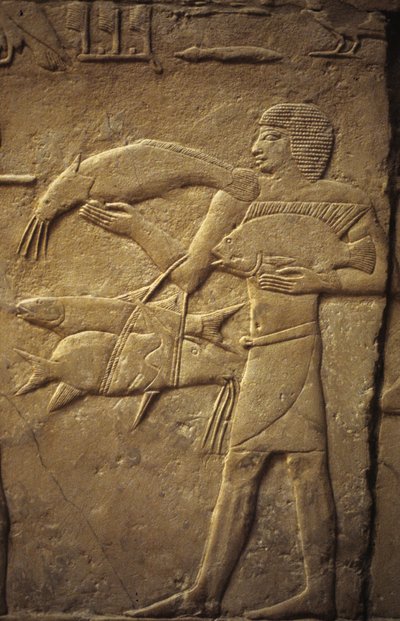 Antiguo Egipto: Saqqarah (o Saqqara o Sakkarah): necrópolis del Antiguo Imperio, tumba de noble.. Detalle de relieves que representan a un pescador. de Leopold Blonder