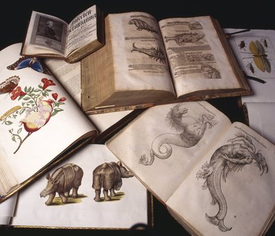 Libros de Zoología Antigua de Unbekannt