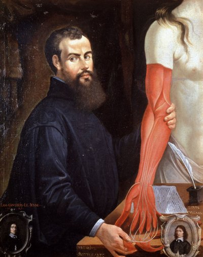 André Vesale (1514-1564) médico flamenco, padre de la anatomía moderna, cuadro de Pierre Poncet de Unbekannter Künstler