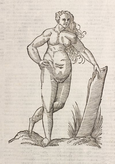 Andrógino de Unbekannt