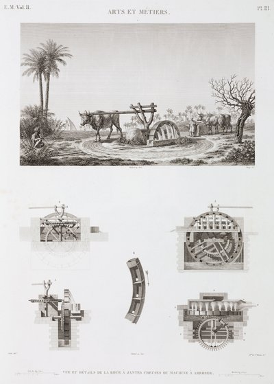Irrigación con tracción animal, Egipto, c. 1798 de Unbekannt