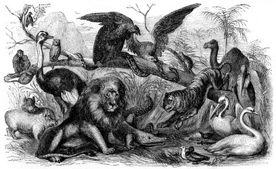 Animales prohibidos a los israelitas -Biblia de Unbekannter Künstler