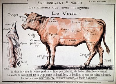 Animales que comemos : el ternero, c. 1910 (impresión) de Unbekannter Künstler