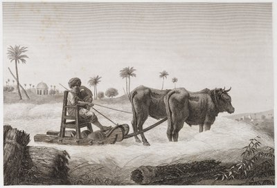 Agricultura de Secano, Cosecha. Máquina de trilla, Egipto, c. 1798 de Unbekannt