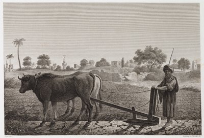 Arado con bueyes, Egipto, c. 1798 de Unbekannt