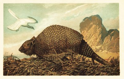 Archaeopteryx lithographica y Panochthus tuberculatus.1908 (litografía) de Unbekannter Künstler