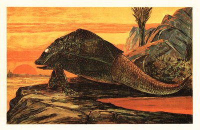 Asterolepis cornutus, especie extinta de pez acorazado.1908 (litografía) de Unbekannter Künstler