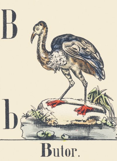 B: Avetoro, c1880-1900 (ilustración) de Unbekannter Künstler