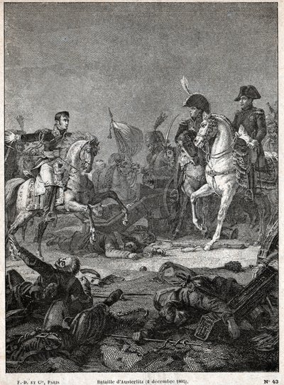 Batalla de Austerlitz de Nicolas Liez