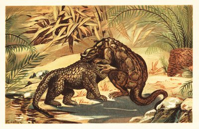 Batalla entre un Megalosaurus bucklandii y un Iguanodon bernissar1908 (litografía) de Unbekannter Künstler