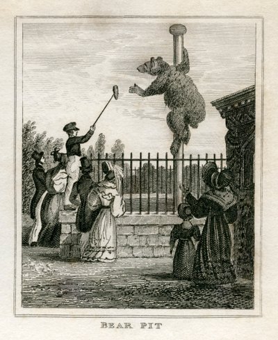 Foso de osos - Zoológico de Regent