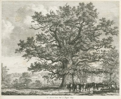 Blithfield - Squitch-bank Oak de Unbekannt