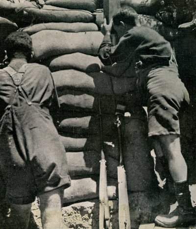 Tropas británicas luchando en pantalones cortos de drill caqui, Península de Gallipoli de Unbekannt