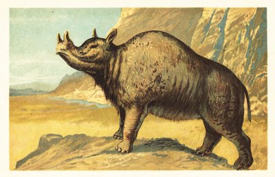 Brontops robustus o Megacerops robustus.1908 (litografía) de Unbekannter Künstler