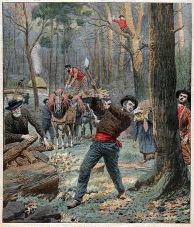 Leñadores de Unbekannt