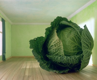 Col (según Magritte) de Unbekannter Künstler