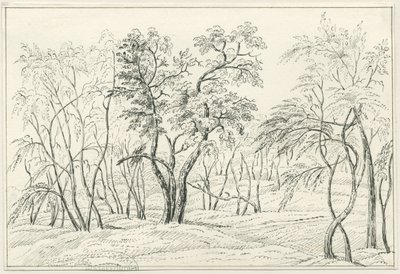 Cannock Chase de Unbekannt