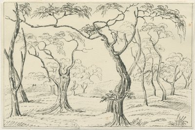 Cannock Chase de Unbekannt