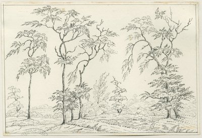 Cannock Chase: dibujo a pluma y lápiz, nd [?siglo XIX] de Unbekannt