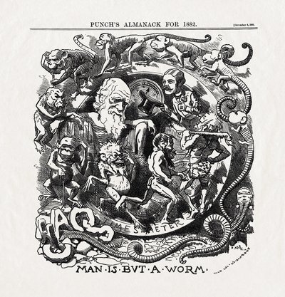 Viñeta sobre la teoría de la evolución de Charles Darwin (1809-1882): "Man is but a worm" (El hombre no es más que un gusano) de "Punch" 06/12/1881 de Unbekannter Künstler