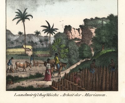 Campesinos chamarros arando un campo y labrando hileras de plantaciones en el archipiélago de las Marianas (EE UU). Ilustración de Viaje alrededor del mundo (1824) de Louis de Freycinet (1779-1842). Litografía para el libro: "Galerie complete en tableaux f de Unbekannter Künstler