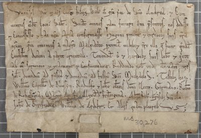 Carta de Walter, Prior de San Andrés de Unbekannt