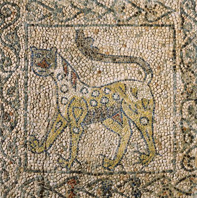 Iglesia de San Juan Evangelista, Cuarta Cruzada, Fragmentos de suelos de mosaico que representan una pantera moteada, Rávena, Emilia-Romaña, Italia de William M. Timlin