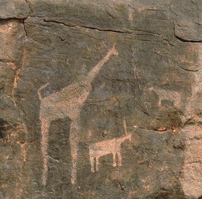 Primer plano de pinturas prehistóricas, Desierto de Tenere, Níger de Benjamin Baud