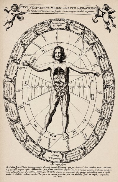 Correspondencia entre microcosmos y macrocosmos. Lámina extraída del "Mundus subterraneus" de Athanase Kircher (1601-1680) de Unbekannter Künstler