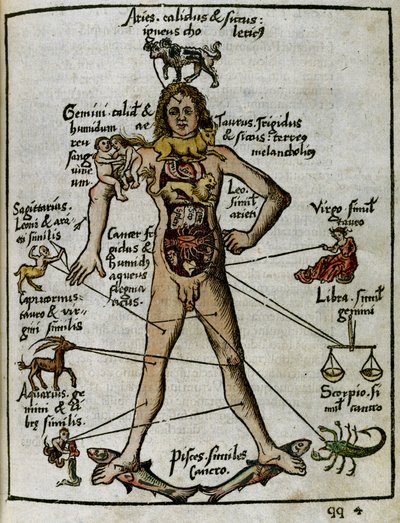 Cosmografía siglo XVI: el hombre zodiacal de Unbekannt