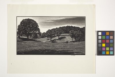 Escena campestre (tinta) de Unbekannter Künstler