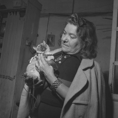 La ciclista Alfonsina Strada (Alfonsa Rosa Maria Morini) de Unbekannter Künstler