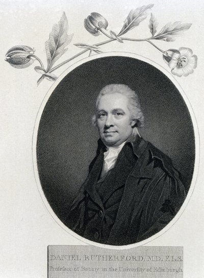 Daniel Rutherford, químico y botánico escocés, principios del siglo XIX de Unbekannt