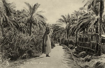 Palmeras datileras, Basora de Unbekannter Künstler