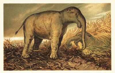 Deinotherium giganteum, gran pariente prehistórico del actual1908 (litografía) de Unbekannter Künstler