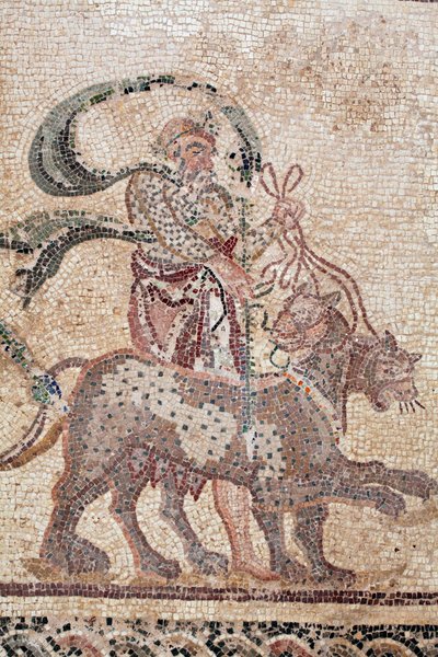 (detalle) El Triunfo de Dionisos - Retorno del dios de una expedición militar a la India - Sileno sosteniendo las riendas de las panteras - Mosaicos de Pafos, Casa de Dionisos, Finales del siglo II d.C. - Chipre - El triunfo de Dionisos - Largo mosaico qu de William M. Timlin