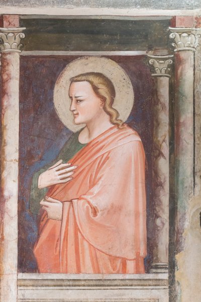 Exposición en las bóvedas del museo catedralicio de Prato (Italia) de Unbekannter Künstler