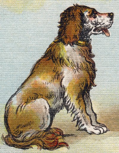 Perro. Grabado en "Alphabet de ma petite fille". Bernardin-Bechet y Fils, libreros-editores, París, alrededor de 1895. Álbum irrompible en lienzo. Bibliothèque des Bébés. 12 páginas. Álbum que contiene un método de lectura y un abecedario ilustrado de Unbekannt