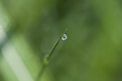 Gota (fotografía) de Unbekannter Künstler