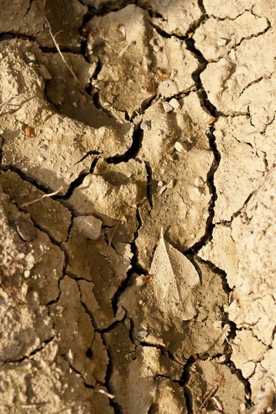 Seco (fotografía) de Unbekannter Künstler