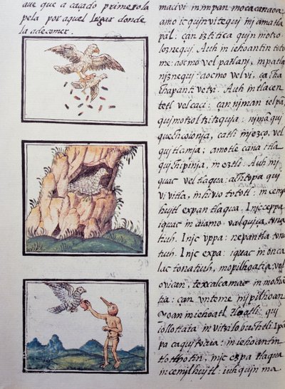 Águilas, página del Códice Florentino, versión bilingüe en español y náhuatl, Historia General de las Cosas de Nueva España por el misionero español Fray Bernardino de Sahagún (1499-1590). Civilización azteca de William M. Timlin