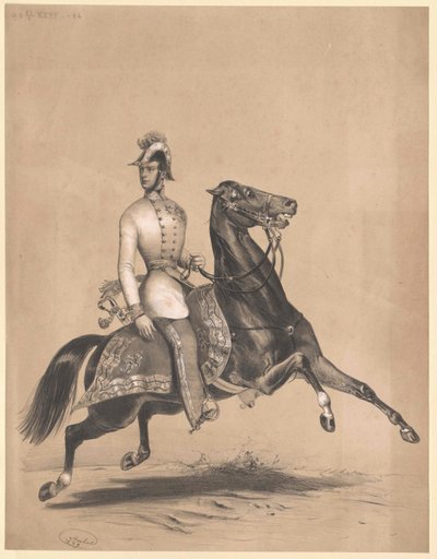 Emperador de Austria Francisco José I de Unbekannter Künstler
