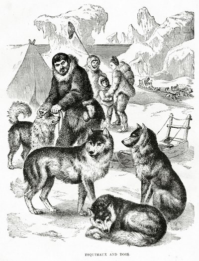 Esquimales y perros. 1902 de Unbekannt