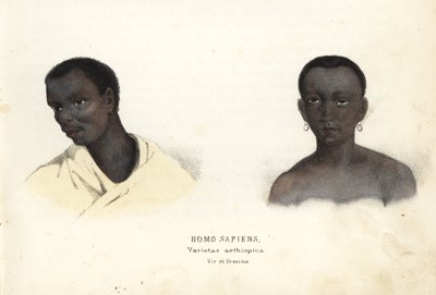 Hombre y mujer etíopes. Grabado en acero coloreado a mano de la Galería de Historia Natural de Georg Friedrich Treitschke, Naturhistorischer Bildersaal des Thierreiches, Liepzig-1842. de Unbekannter Künstler