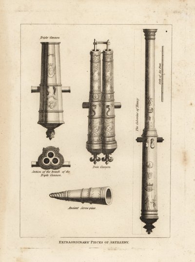Piezas extraordinarias de artillería: vista y sección de la culebrina de Nancy, un cañón triple, un cañón gemelo y una pieza de tornillo antigua de Unbekannt
