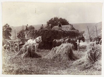 Escenas de agricultura, Cosecha y almacenamiento, Cosecha pre-1900, c. 1890 de Unbekannt