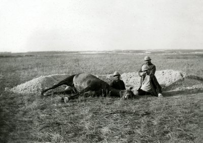 Primera Guerra Mundial 14-18 (1914-1918): tres soldados franceses entierran un caballo muerto - fotografía en placa de vidrio - de Unbekannter Künstler