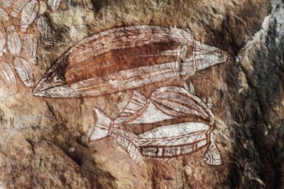 Pez, pintura rupestre, Arnhem Land, Territorio del Norte, Australia, cultura aborigen de Benjamin Baud