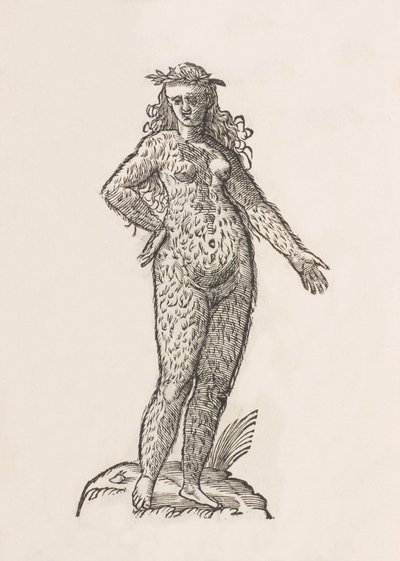 Foemina Cinnaminiae gentis de Unbekannt